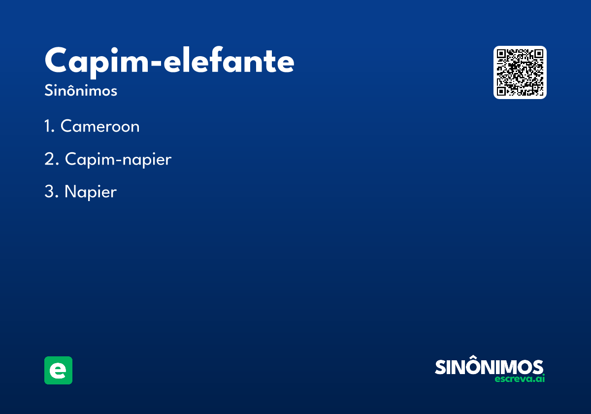 capim-elefante