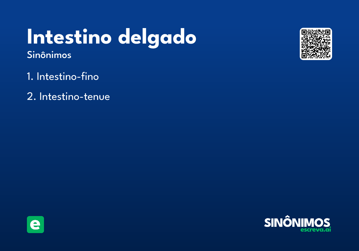 intestino delgado