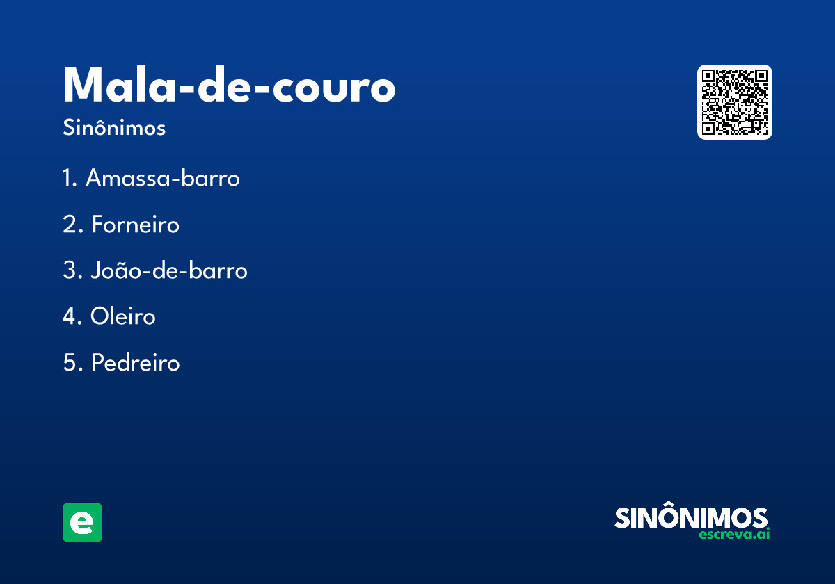 mala-de-couro