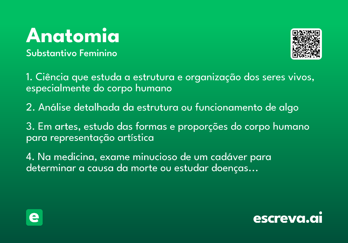 anatomia
