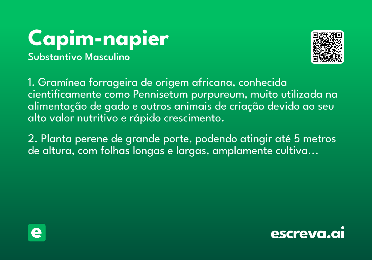 capim-napier