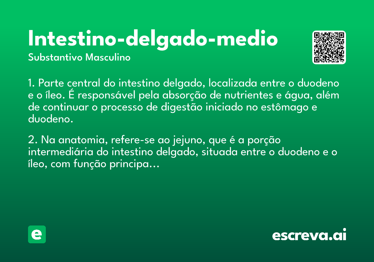 intestino-delgado-medio