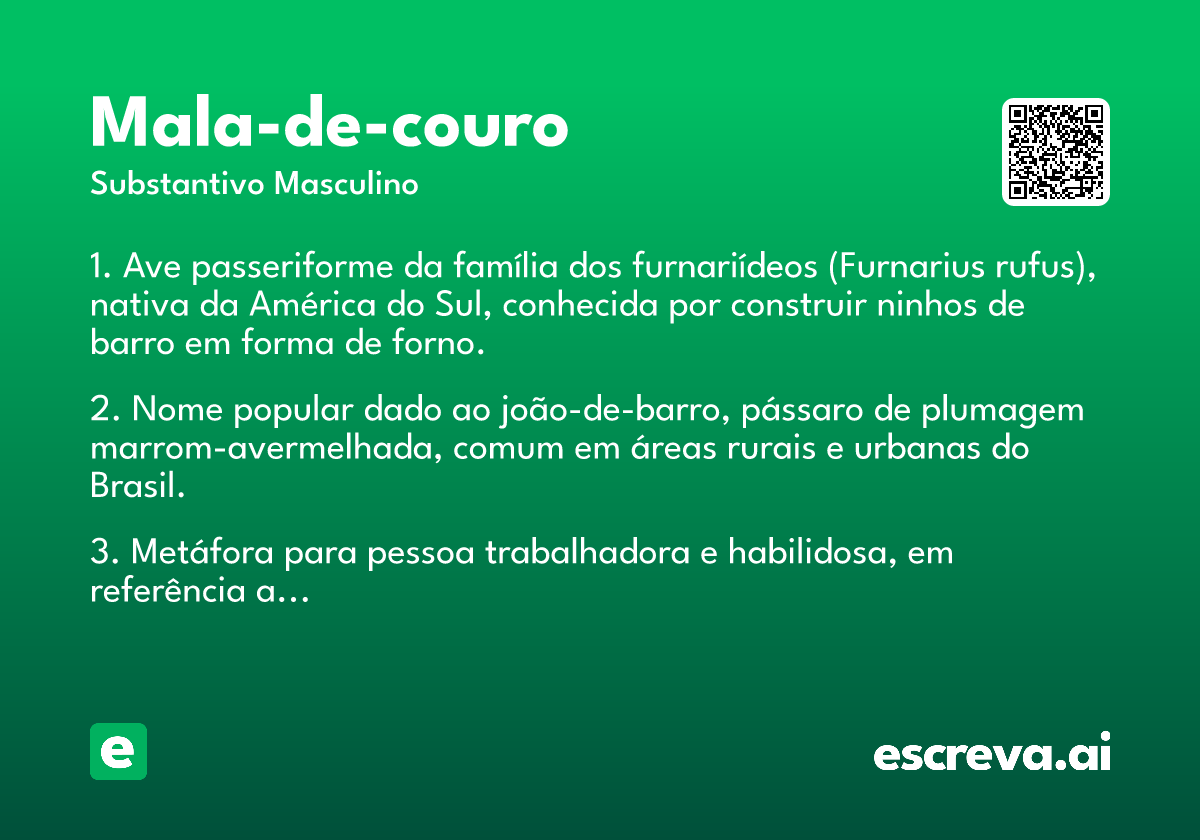 mala-de-couro