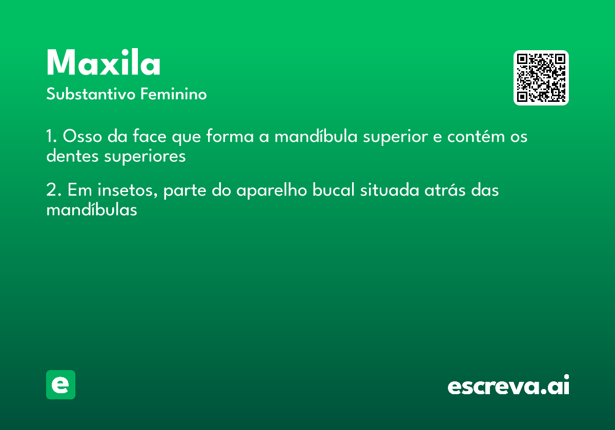 maxila