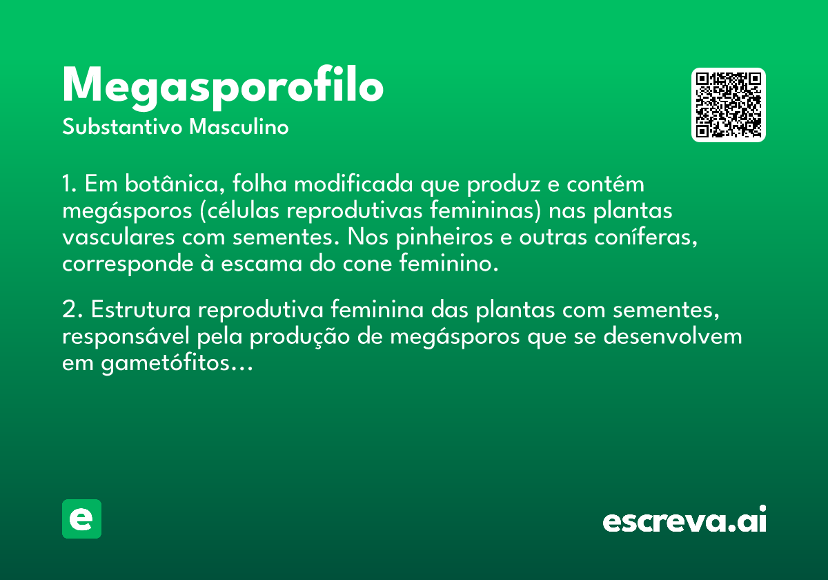 megasporofilo